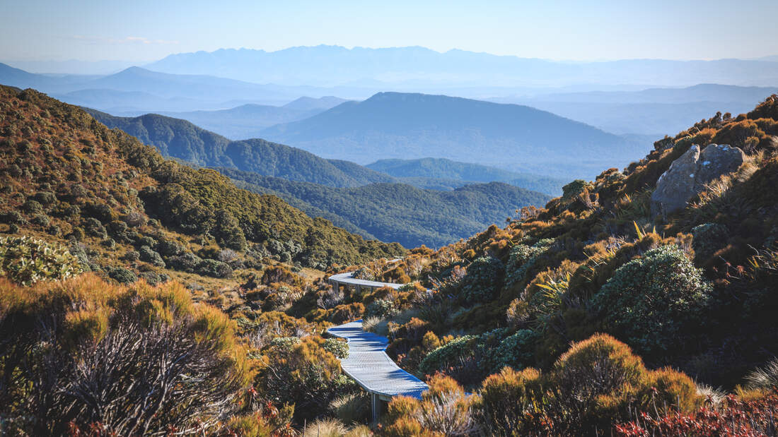 Wandern-in-Neuseeland-Hump-Ridge-Track-weitere-Great-Walks