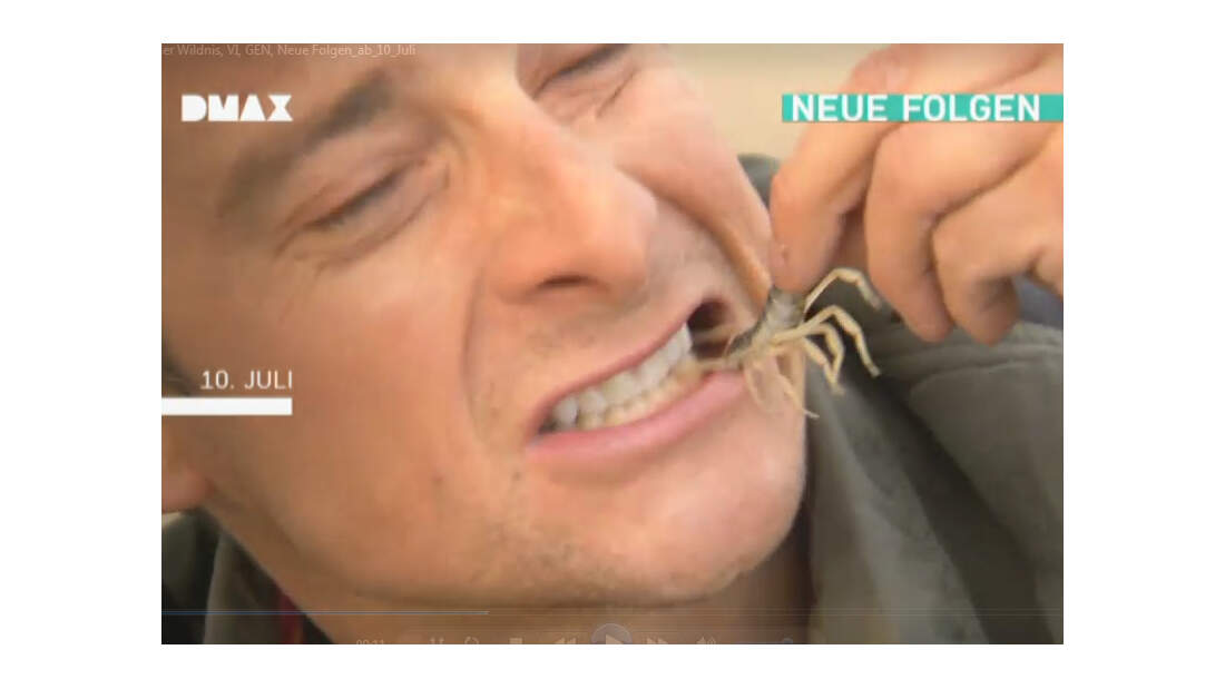 Bear Grylls Ausgesetzt In Der Wildnis Stream Ausgesetzt in der Wildnis - mit Bear Grylls