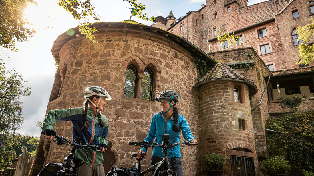 Zwischen-Burgen-und-Wein-Die-besten-Radtouren-in-der-Pfalz