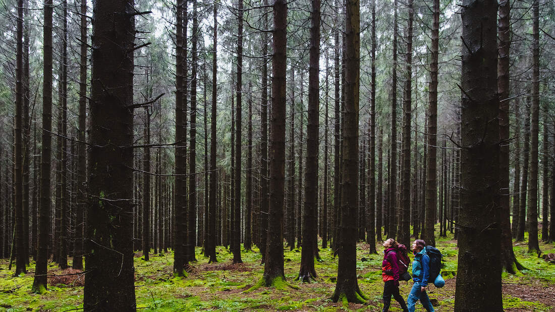 Mehrtagestour-im-Sauerland-Unterwegs-auf-dem-Uplandsteig