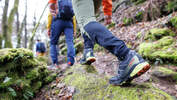 Leichtwanderschuhe - Test 2023 - Pfälzerwald