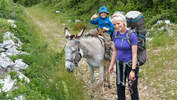 OD 0916 Leserreportage Frankreich Eseltrekking Aufmacher