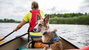 Paddeltour auf der Peene in Mecklenburg-Vorpommern