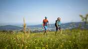 outdoor wandern freiburg wiese 