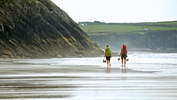 OD-0815-Wales-Pembrokeshire-Path-Teaserbild