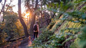 Sonnenaufgangs-Touren im Harz