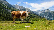 OD 0616 Karwendel Sonnjoch