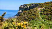 North York Moors England