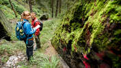 Wandern im Elbsandsteingebirge