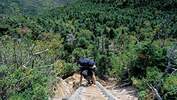 Appalachian Trail