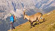 OD 0917 Karwendel Österreich Gamsjoch