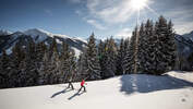 Saalbach Hinterglemm Winter Schnee Österreich Salzburg Schneeschuh Wandern