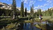 od-0117-kanada-yoho-national-park-president-range (jpg)