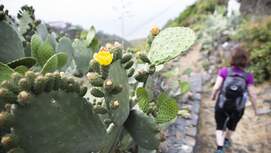 Wandern auf La Palma - Kanaren