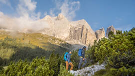 Rosengarten - Dolomiten