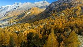 OD 2017 Herbst Alpen Berge Wallis Colourbox