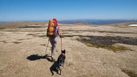 Wandern mit Hund, Tourenplanung und Ausrüstung 