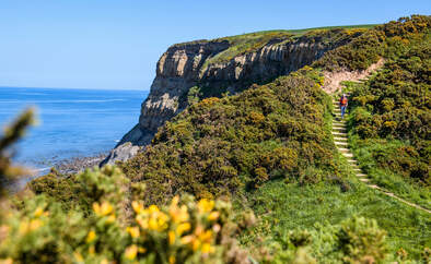 North York Moors England