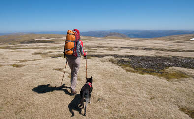 Wandern mit Hund, Tourenplanung und Ausrüstung 