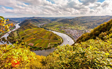 Der Bremmer Calmont - Weinanlage am Moselsteig