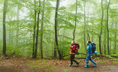 Trekking Sauerland/ 01/2022