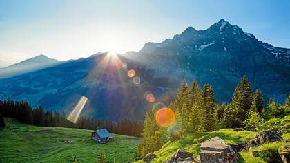 Adelboden: Bergpanorama mit Wald