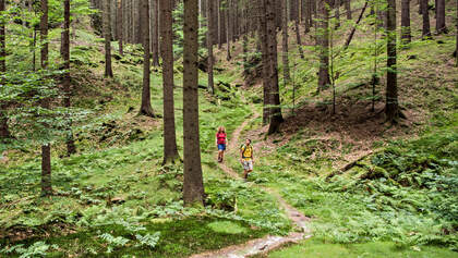 OD 0918 Reise Böhmische Schweiz Hrensko Tschechien Tour 3 Schneeberg