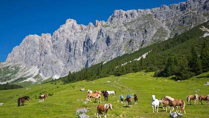 OD 0418 Mittenwald Bayern Törlspitzen