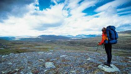 Borgefjell