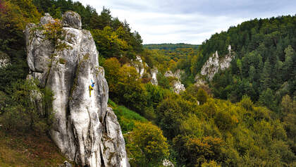 Klettern im polnischen Jura