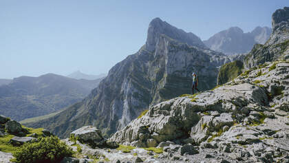 Picos de Europa