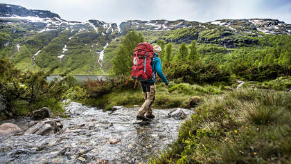 OD 1012 Aurlandsdalen Norwegen