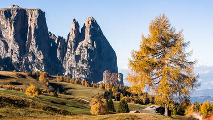 Dolomitenregion Seiser Alm in Südtirol