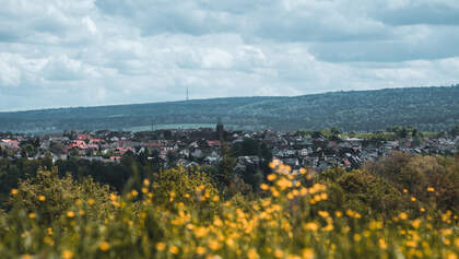 Leseraktion Schwarzwald