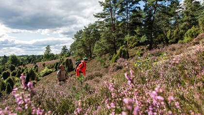 OD 0916 Lüneburger Heide Titelbild