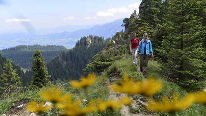 OD-0514-Ammergauer-Alpen-6 (jpg)