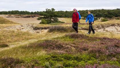 Nationalpark Trail Belgien