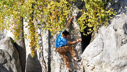 Fontainebleau Bouldern 95.2