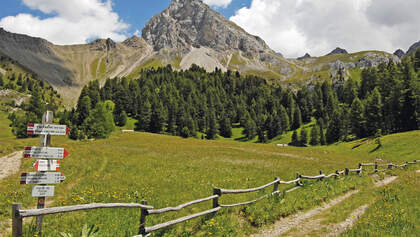 OD-0413-Trentino-Special-San Martino Aufmacher (jpg)