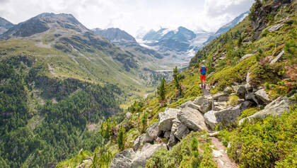 Höhenweg im Turtmanntal mit Traumblicken auf das Weisshorn und das Bishorn.