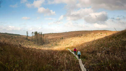 Cavan Way, Irland