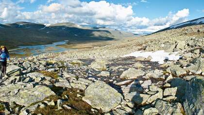 OD Weites Land: Dovrefjell in Norwegen