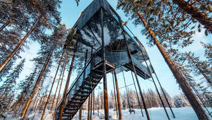 OD-treehotel-schweden-7th-room-1 (jpg)