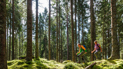 OD 0516 Schwarzwald Vergessene Pfade