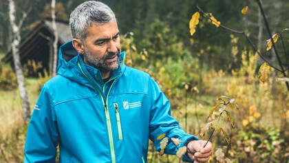 Interview Roland Baier, Nationalpark Berchtesgaden