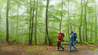 Trekking Sauerland/ 01/2022