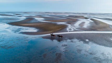 Deutschland Superlative der Outdoor-Welt -Nationalpark Wattenmeer