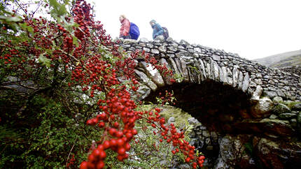 od-1014-england-lake-district-002 (jpg)