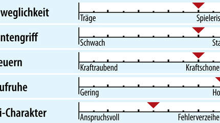 od-2018-slalomcarver-fahreigenschaft-head-rebels-i-sl (jpg)