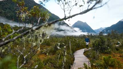 od-1116-neuseeland-milford-sound-3 (jpg)